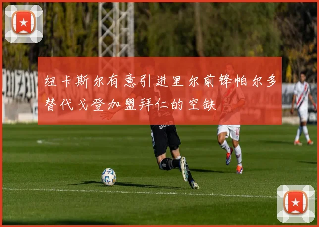 纽卡斯尔有意引进里尔前锋帕尔多替代戈登加盟拜仁的空缺