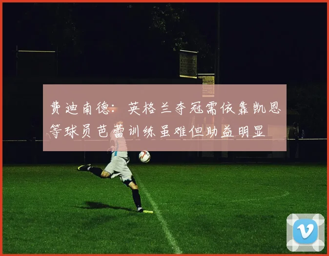 费迪南德：英格兰夺冠需依靠凯恩等球员芭蕾训练虽难但助益明显